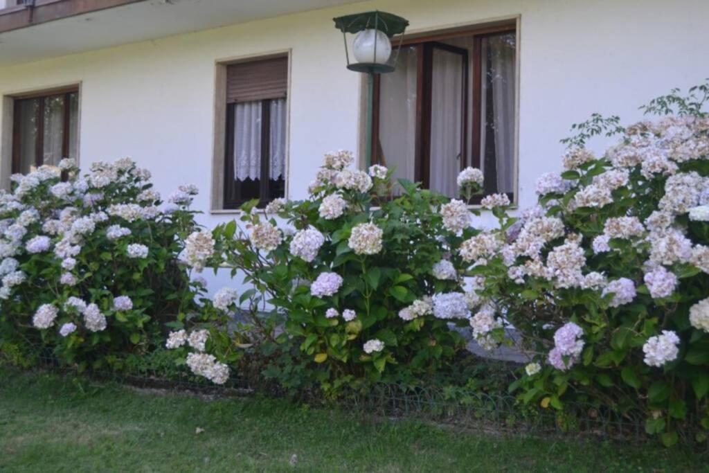 Villa Immersa Nel Verde A Lanzo D'Intelvi Exterior photo